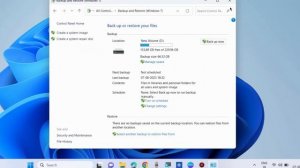 Windows Backup Error Code 0x800700E1 in Windows 10 /11 Fixed
