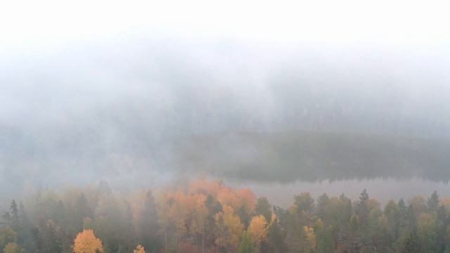 Во ВРЕМЯ ИССЛЕДОВАНИЙ "УТЕРЯН" рыболовный КАЛЕНДАРЬ. МНЕ стал известен ПРОГНОЗ клева на КАЖДЫЙ ДЕНЬ.