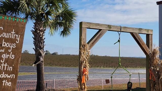 НАШ СЕЗОННЫЙ БАЗАРЧИК В АМЕРИКАНСКОЙ ДЕРЕВНЕ ЧТО ОСТАЛОСЬ В ПРОДАЖИ США смотреть онлайн