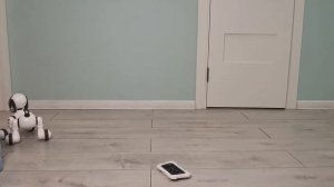 собака робот против кошки. опять вика с робособакой