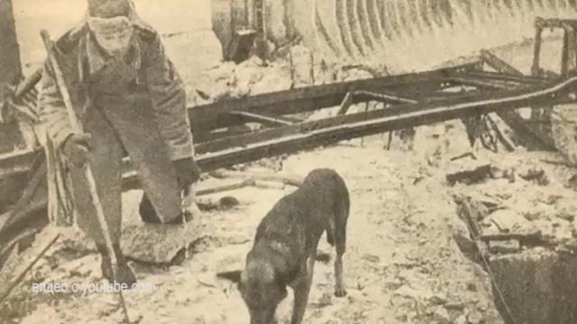 Лапушки смотреть онлайн