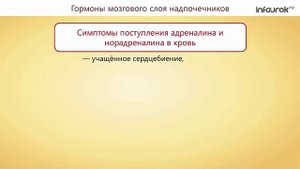 42. Железы внутренней секреции и их функции