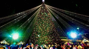 Главную елку Казахстана зажгли в Астане