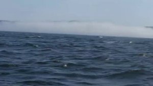 Рыбалка на Западном Кильдине