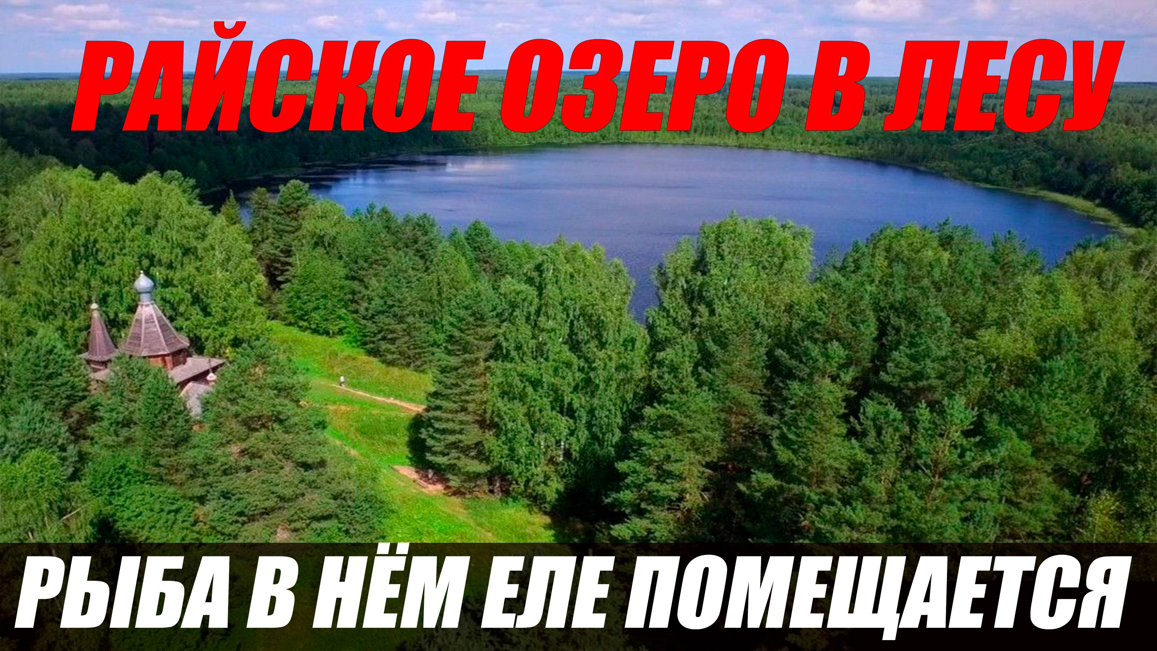 ОЧЕНЬ КРАСИВОЕ ОЗЕРО В ЛЕСУ! А В НЁМ ПОЛНО РЫБЫ! СВЕТЛОЯР!