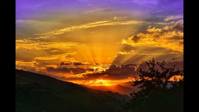 UNLOCK YOUR TRUE SELF-DNA Repair-8.0 Hz- Adrenal Health, Base-Muladhara Chakra