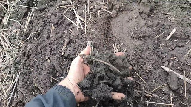 ОБРАБОТАТЬ МОТОБЛОКОМ 7ГА? ЗА ДЕНЬ? мы смогли! мотоблок мтз 9hp на колесах gruberg с бдт