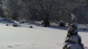 Наш бывший дом в Мичигане зима ,много снега //  Our house in Michigan state winter .a lot of snow