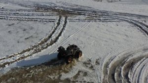 Сокол по талому полю1