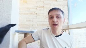 Человек😀 и кошка🐱. Ноль. Кавер🎸