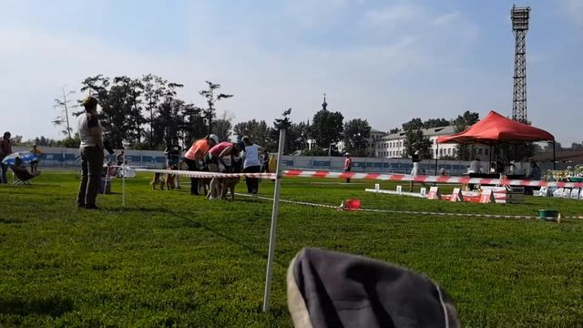 Иркутск 2019 Аден смотреть онлайн