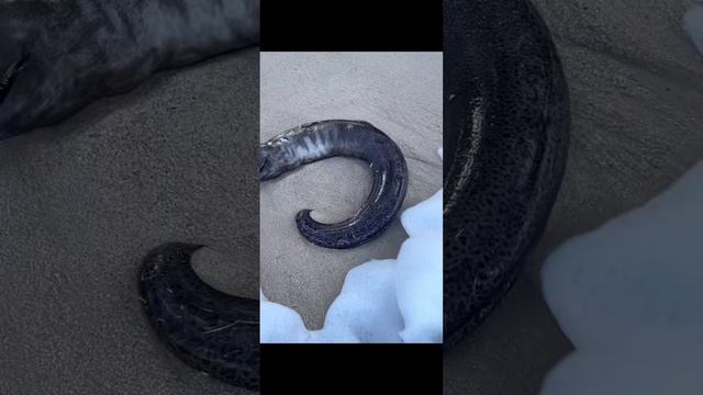 Кто это? смотреть онлайн