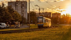Бросит небо последние блики