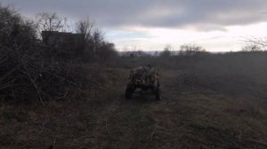 Мотоблок на заготовке дров / Бездорожье/ Въехали в дерево/ walk-behind tractor carries wood