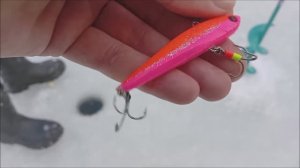 Актив хорошо работает на запуске. Клёвое место, Лосиный остров, верхний водоём.