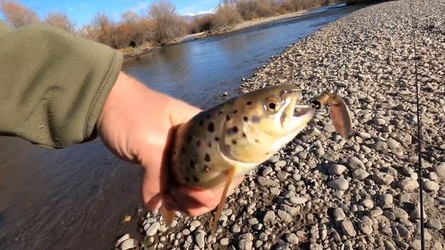 GoFishing закрывает сезон на Сусамыре. Ловим дикую форель на спиннинг. Рыболовный тур.