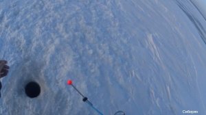 Зимняя рыбалка на Обском Море ( водохранилище) балансирами и мормышками в декабре 2024 год