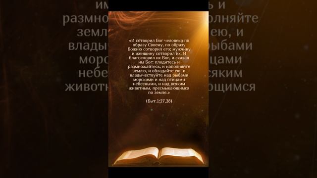 Разве Бог благословляет  однополые браки? #shortsvideo #ватикан