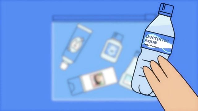 Ручная кладь в самолёте | Что можно, а что нельзя брать с собой в ручную кладь | часть 1