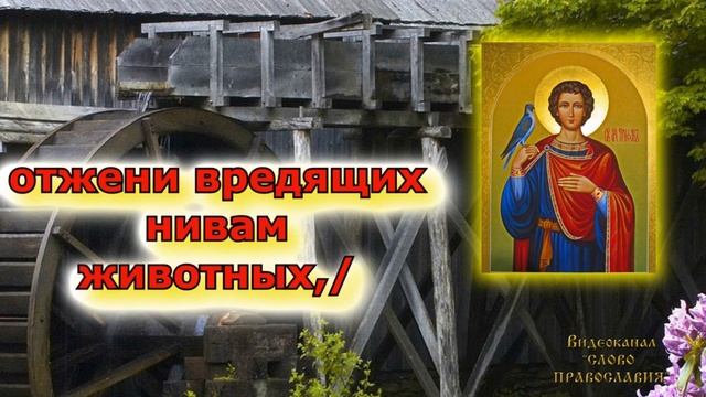 Тропарь святому мученику Трифону аудио молитва с текстом и иконами смотреть онлайн