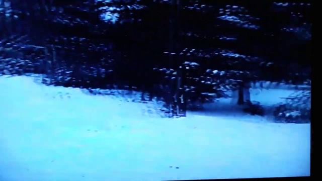 НАША ЖИЗНЬ НА АЛЯСКЕ ПОЧТИ 20 ЛЕТ НАЗАД / ДЕТИ КАТАЮТСЯ НА СНОУМОБИЛАХ смотреть онлайн