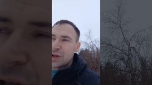 🐕Как правильно ЗАКАПАТЬ глазные КАПЛИ СОБАКЕ‼️