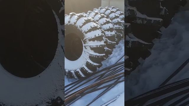 шины краз