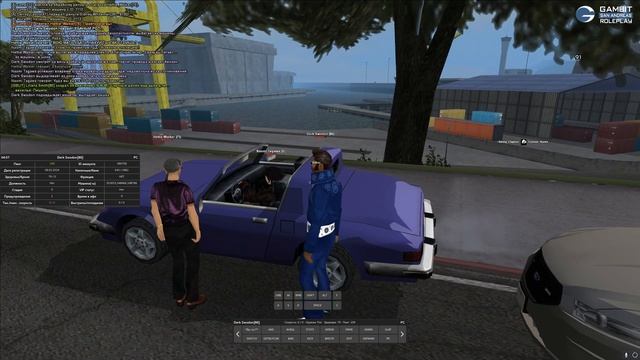 ЗАБАНИЛ ФАНГЕЙМЕРОВ на GAMBIT RP в GTA SAMP | + РОЗЫГРЫШ на ДОНАТ смотреть онлайн
