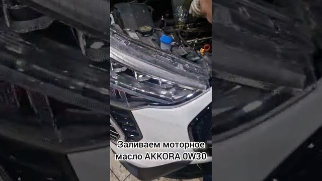 Замена масла в HAVAL JOLION 3 400 пробега 👍