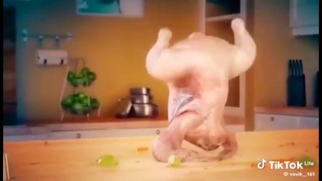 Курица танцует