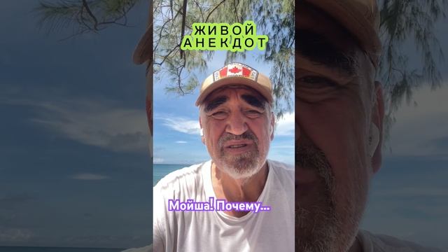 14 октября 2024 г. смотреть онлайн