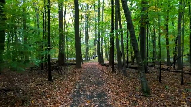 Deep Focus Music To Improve Concentration - 12 Hours Of Ambient Study Music To Concentrate #44