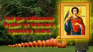 Молитва святому мученику Трифону аудио молитва с текстом и иконами