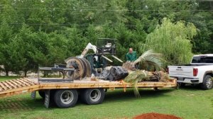 Наконецто  мои пальмы  тут Сверлят дырки ямы отверстия Посадка пальм Finally my palm treesare here.