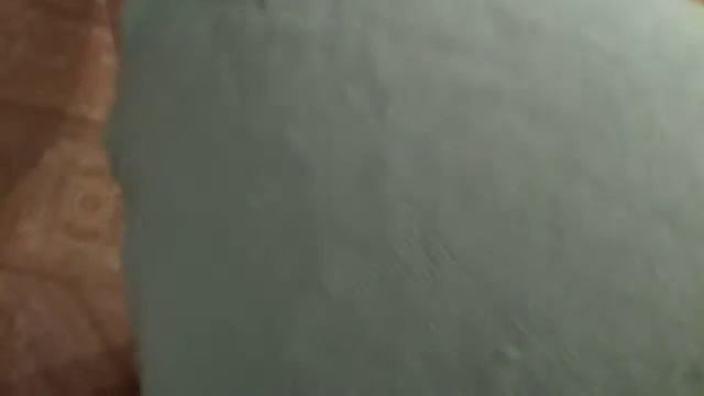 Собак играет (пытается вытащить мяч)! смотреть онлайн