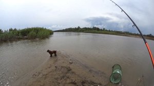 Фидер и рыбалка с ним #2. Фидер для начинающих. Основы фидерной ловли. Рыбалка на реке Чулым 2017.