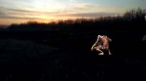 Приказ генерала