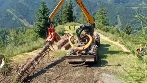 Колесный #харвестер Highlander в работе!