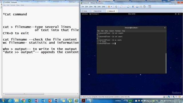 Linux Commands for Beginners: cat Linux Command