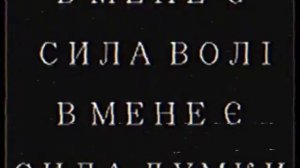 Хлівищинський Інцидент (Ukrainian Wyoming Incident parody)