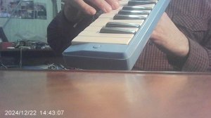 Мелодион: "В горнице моей"