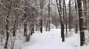 Сегодня будет Новый год - песня для тех кому грустно
