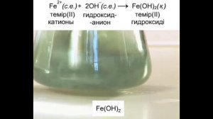 Зертханалық жұмыс №4. Химия пәні-9 сынып. Fe2+, Fe3+, Cu2+ катиондарын анықтау үшін сапалық реакция