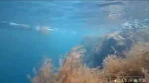 Под водой красивые виды