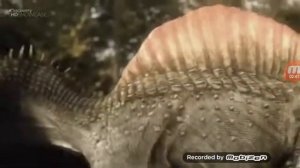 Кархародонтозавр vs Спинозавр "Чудовища планеты #2"