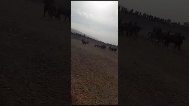 15 января 2024 г. смотреть онлайн