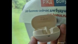 Беспроводные внутриканальные наушники Tronsmart Sounfii R4 | #Обзор