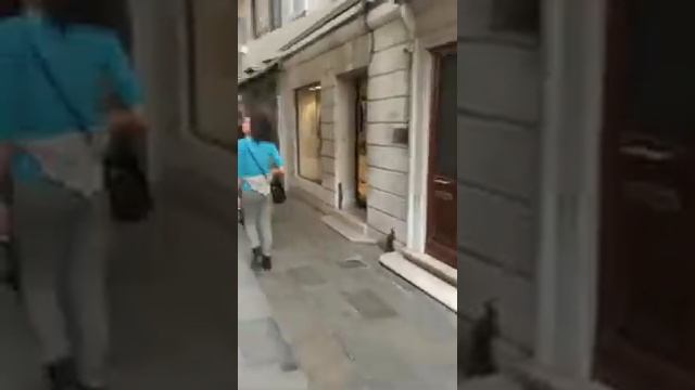 Разходка из Венеция! смотреть онлайн