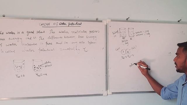 concept of water potential and Turgor Pressure..#agriculture #fundamentals #icar #ccsu