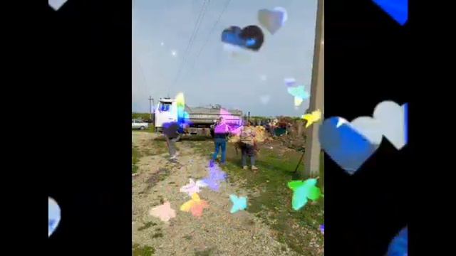 ЛДПР, Светлана Тимофеева, 01.05.2024